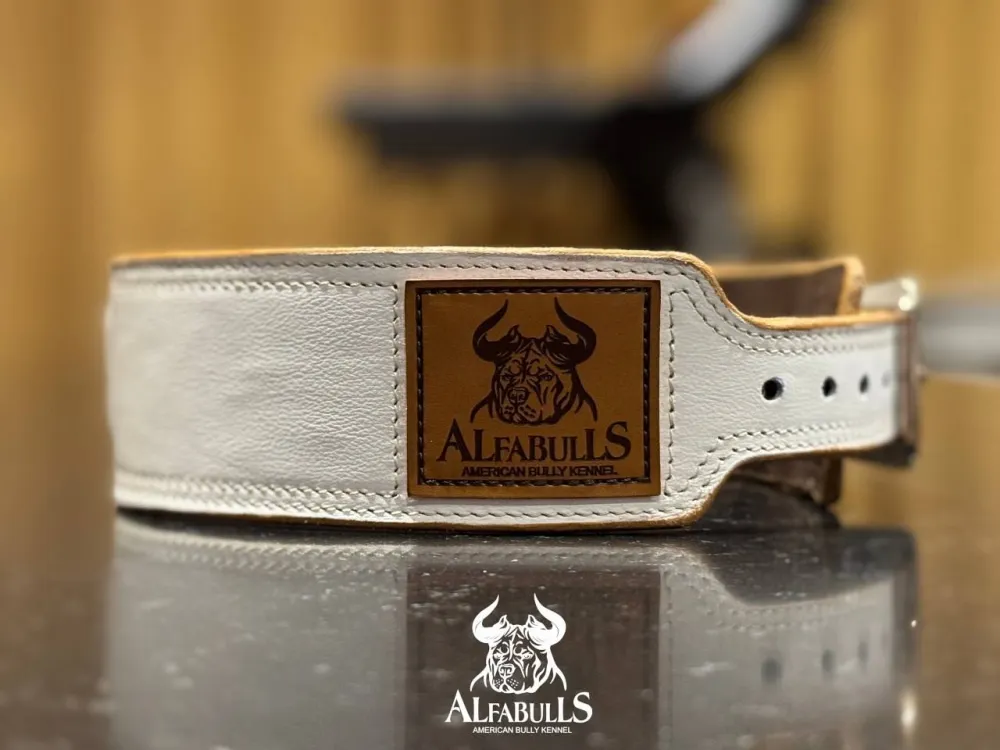 Ошейник для собак "Белый авангард" AlfaBulls