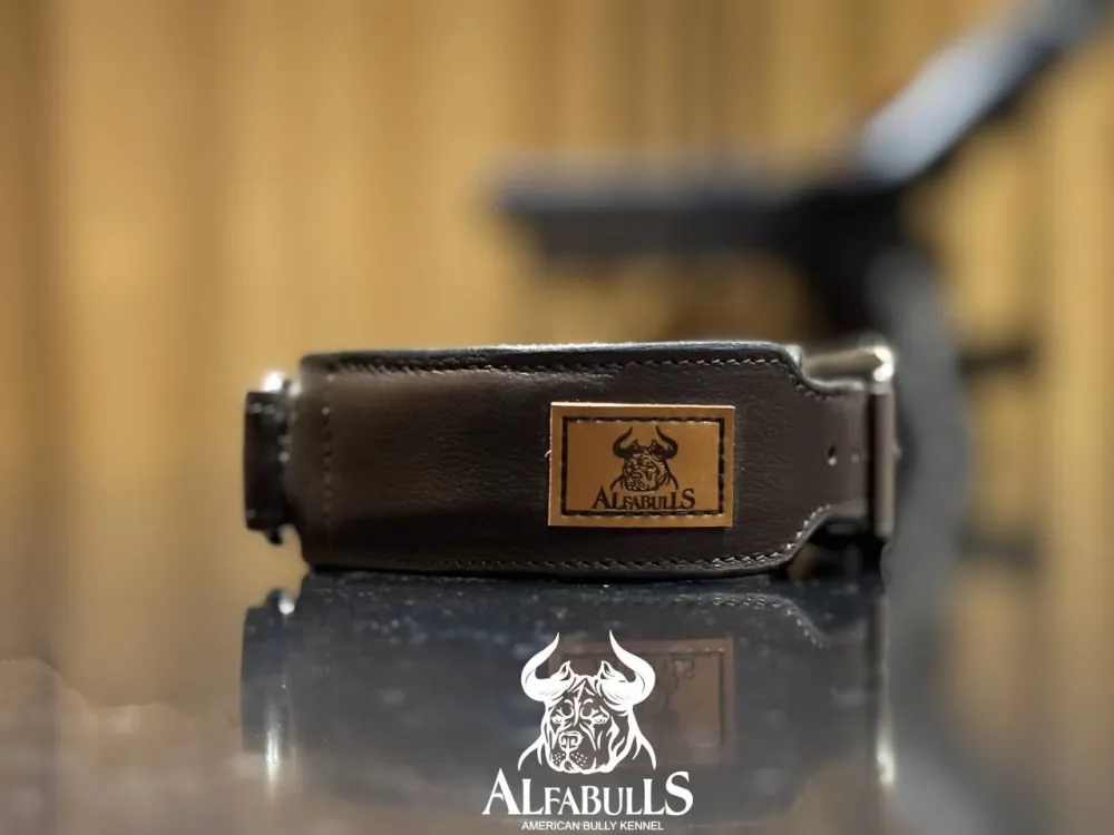 Ошейник для собак "Элеганс" AlfaBulls