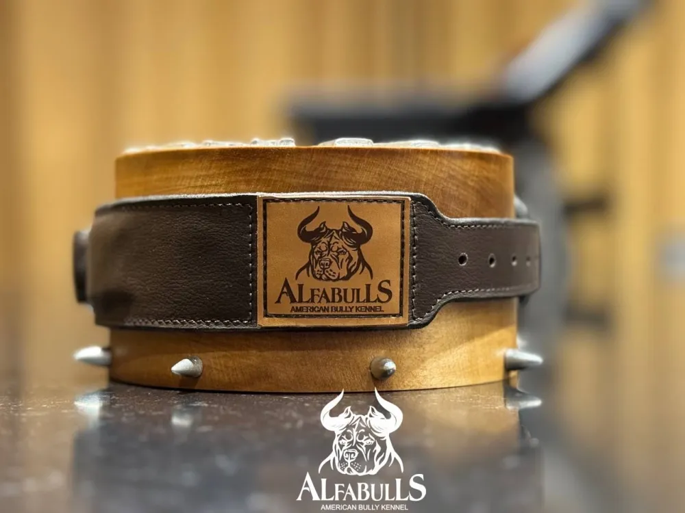 Ошейник для собак "Элеганс" AlfaBulls