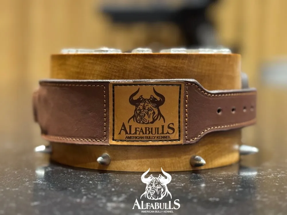 Ошейник для собак "Кантри" AlfaBulls