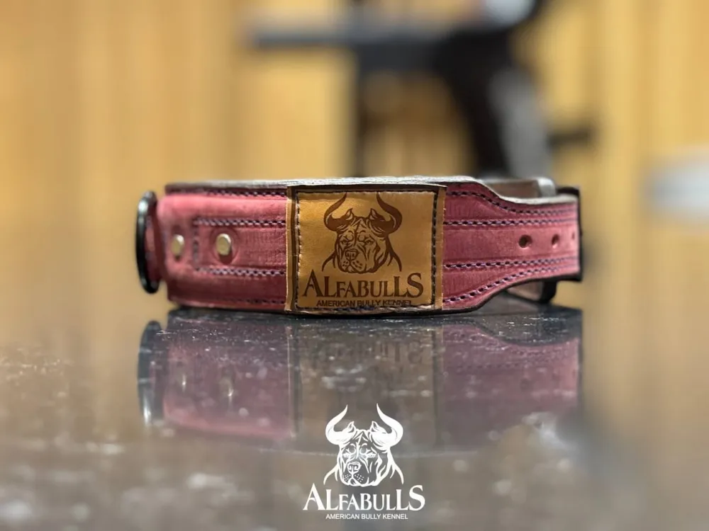 Ошейник для собак "Роскошь" AlfaBulls