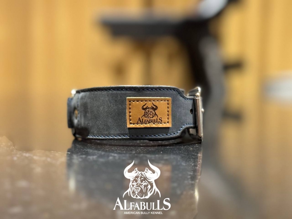 Ошейник для собак "Спектрал" AlfaBulls