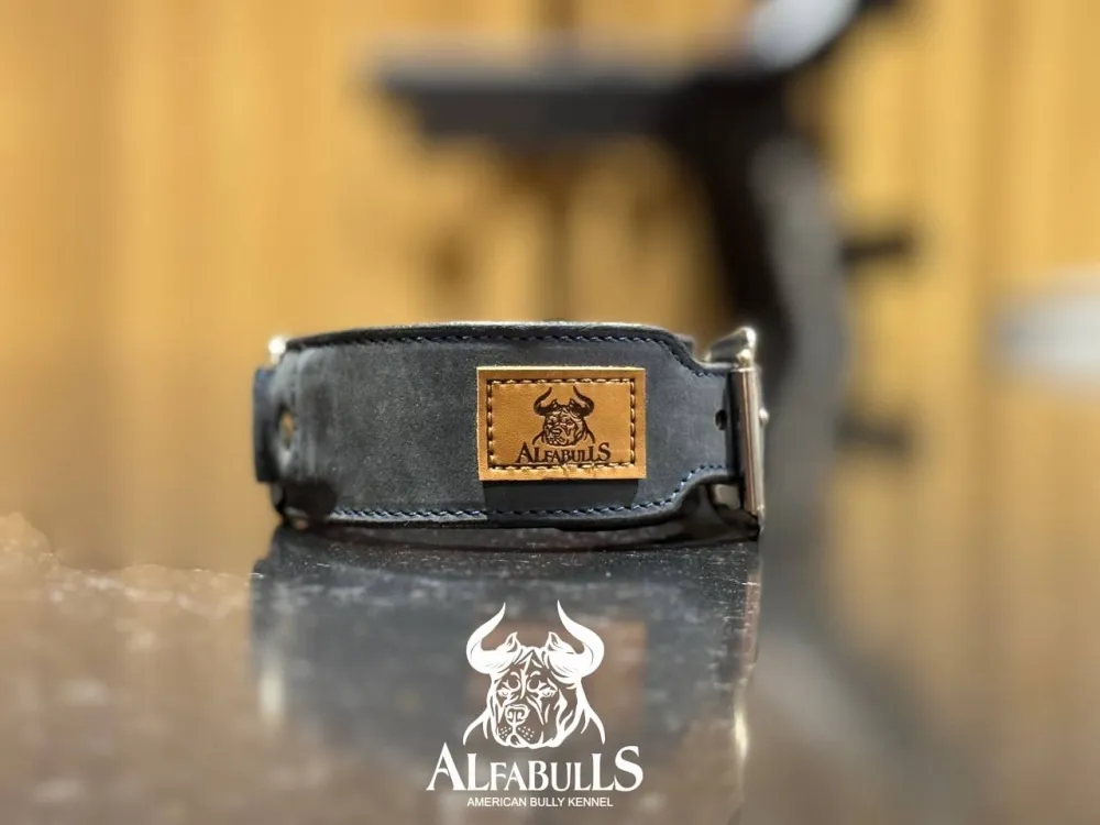 Ошейник для собак "Спектрал" AlfaBulls