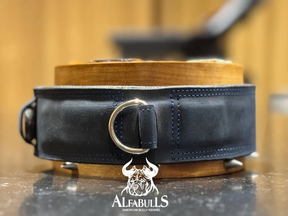 Ошейник для собак "Спектрал" AlfaBulls