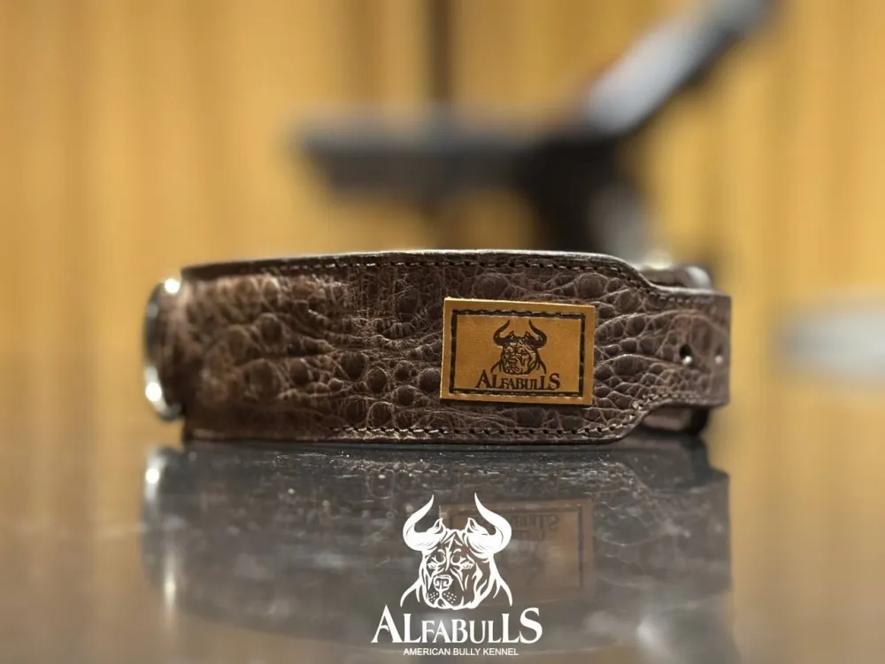 Ошейник для собак "Данди" AlfaBulls