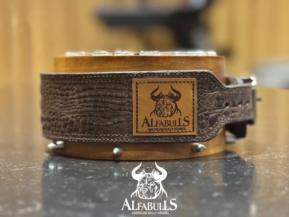 Ошейник для собак "Данди" AlfaBulls