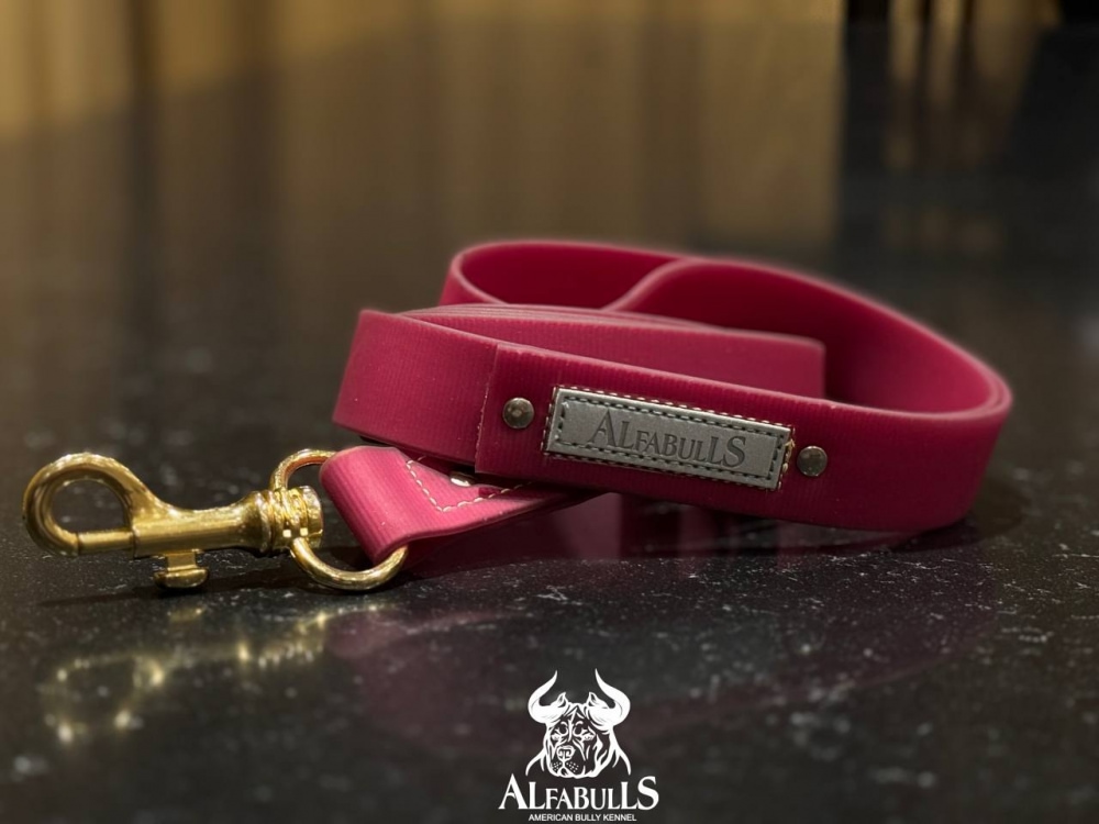 Поводок для собак из биотана (бордовый) AlfaBulls