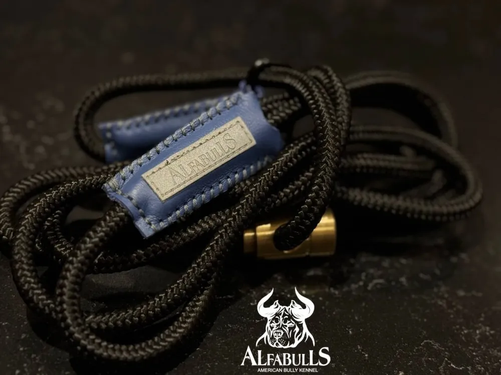 Дрессировочный поводок для собак (ринговка) AlfaBulls