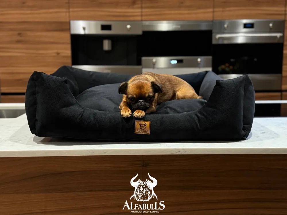Лежанка для животных "Нуар" AlfaBulls