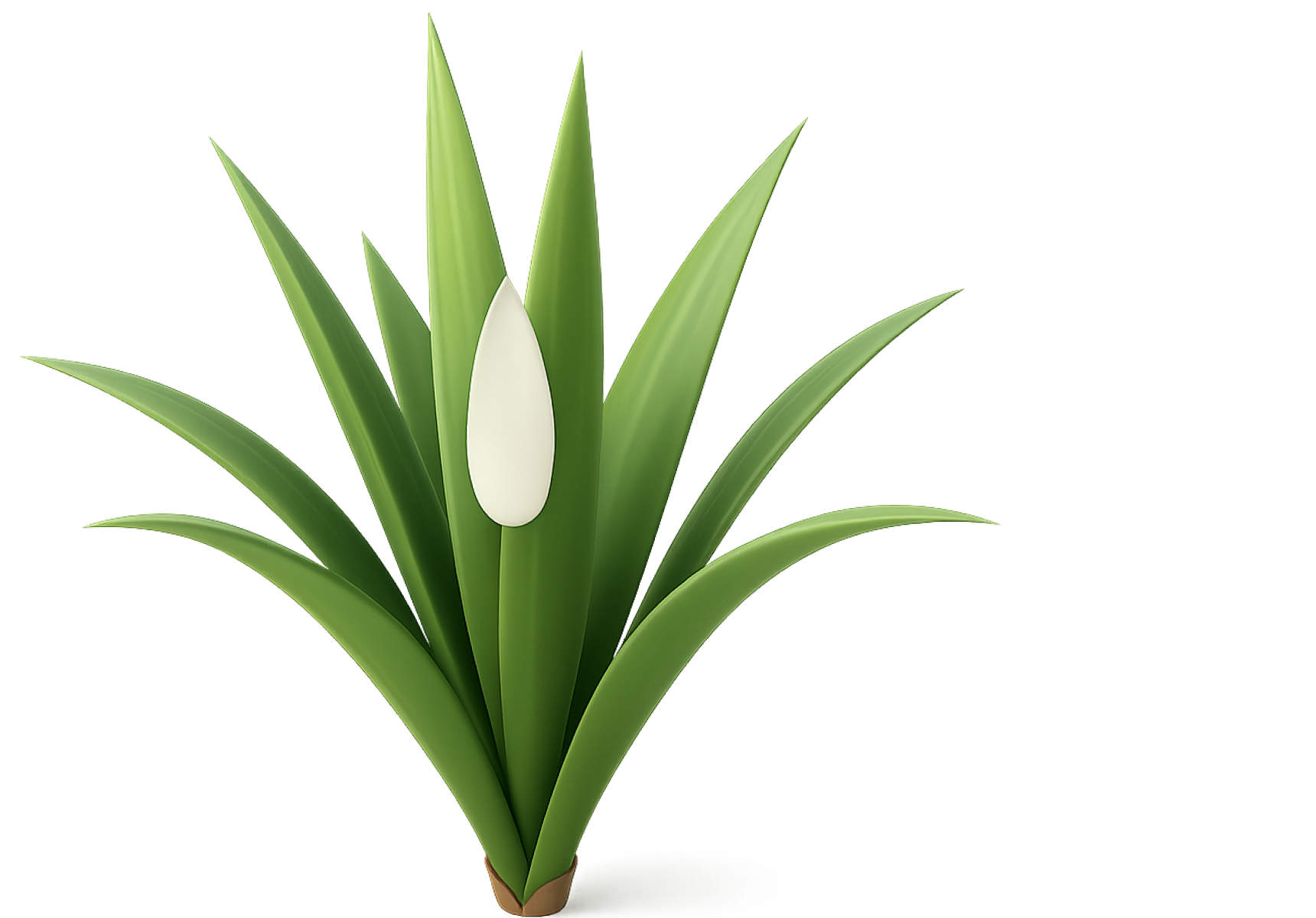 Экстракт Юкка Шидигера