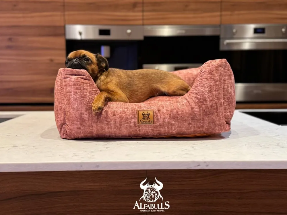 Лежанка для животных "РоузиКрок" AlfaBulls