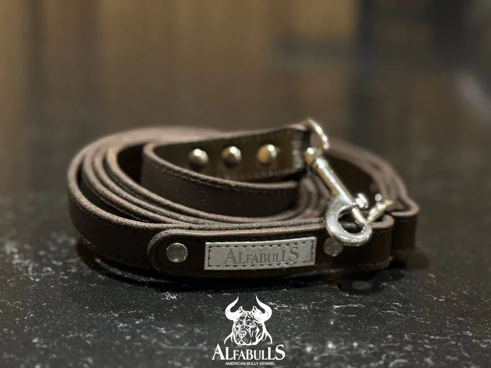 Поводок для собак из кожи (тёмно-коричневый) AlfaBulls
