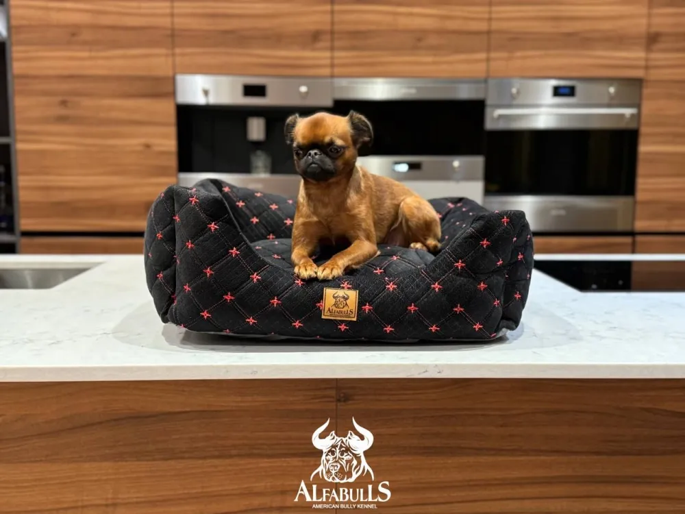 Лежанка для животных "Марракеш" AlfaBulls