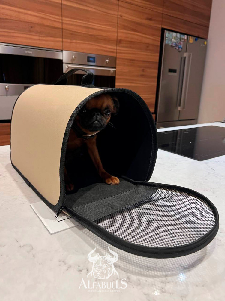 Переноска для домашних животных (бежевый цвет)