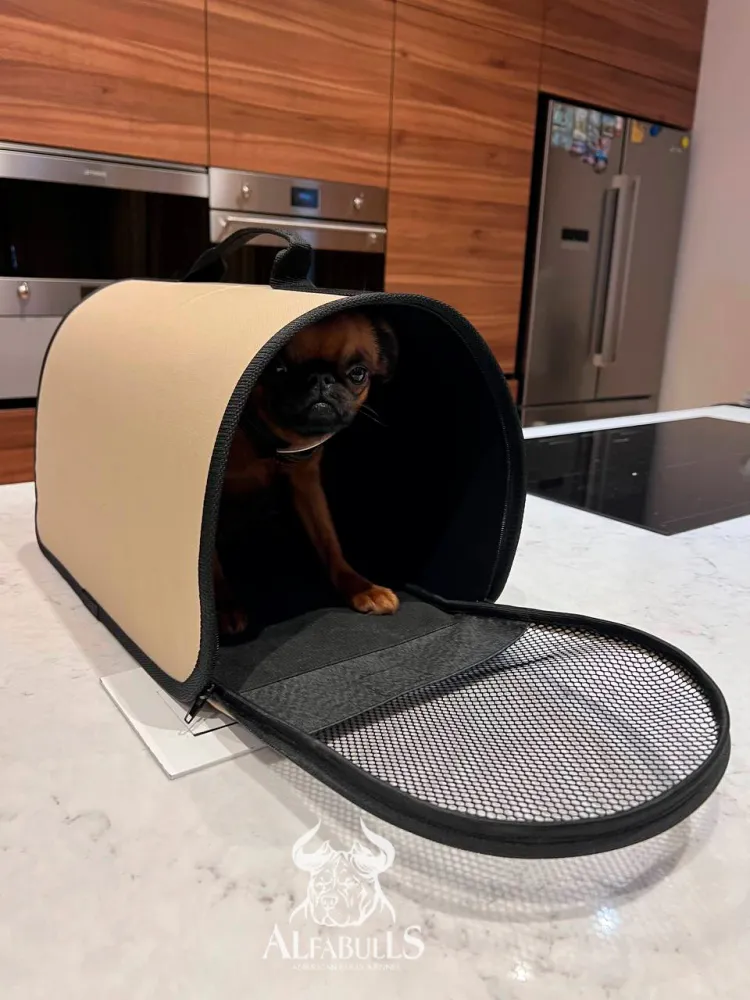 Переноска для домашних животных (бежевый цвет)