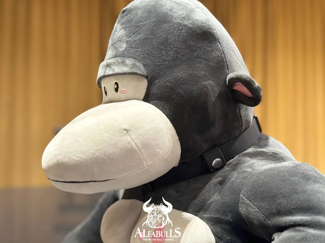 Изображение товара