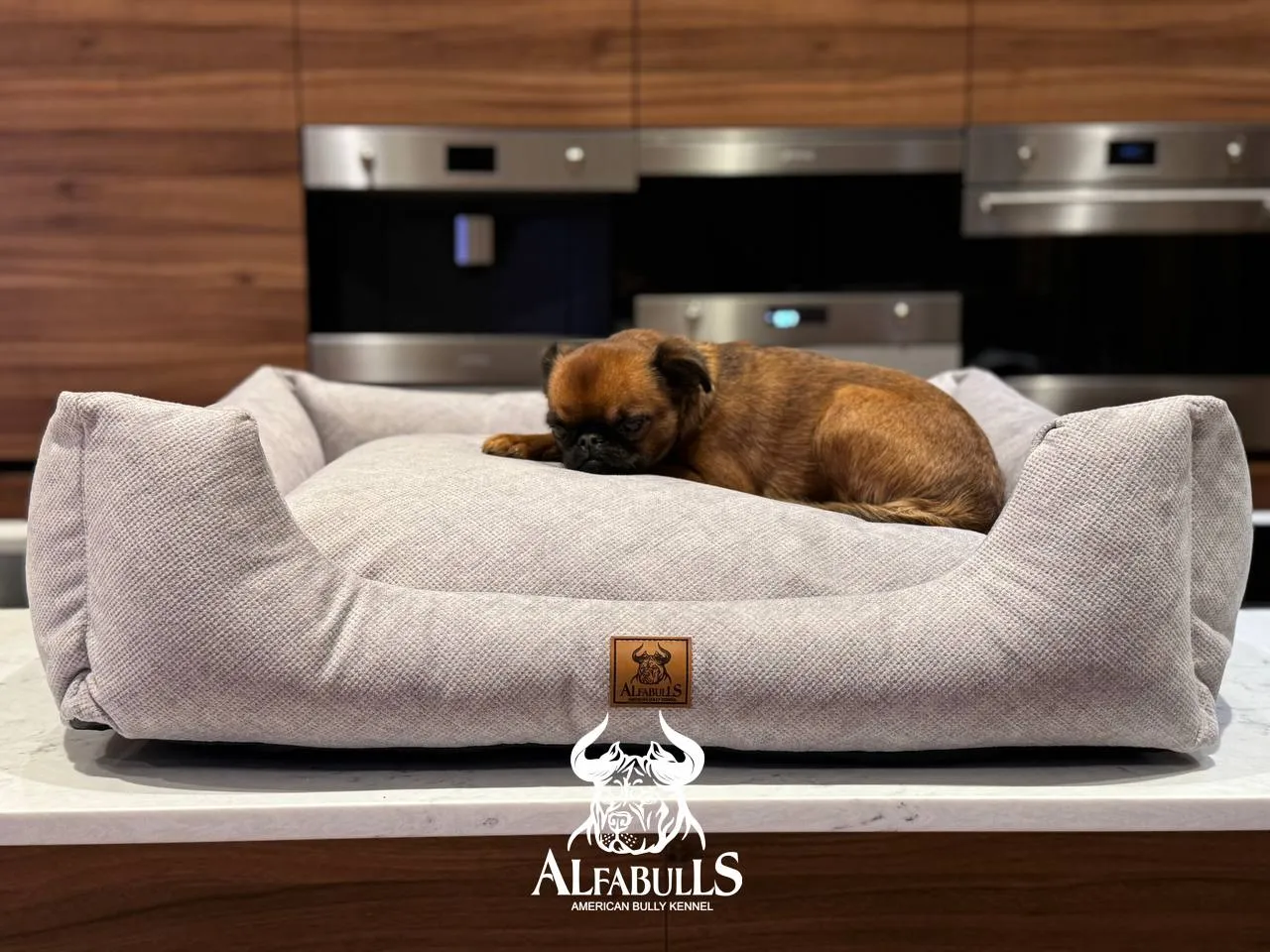 Лежанка для животных "Стэйбл" AlfaBulls