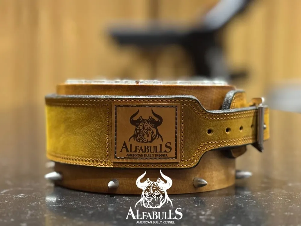 Ошейник для собак "Песочный страж" AlfaBulls