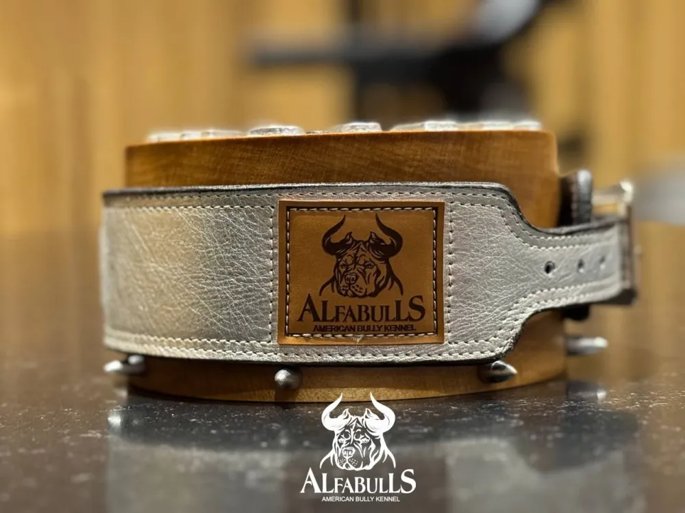 Ошейник для собак "Аполлон" AlfaBulls