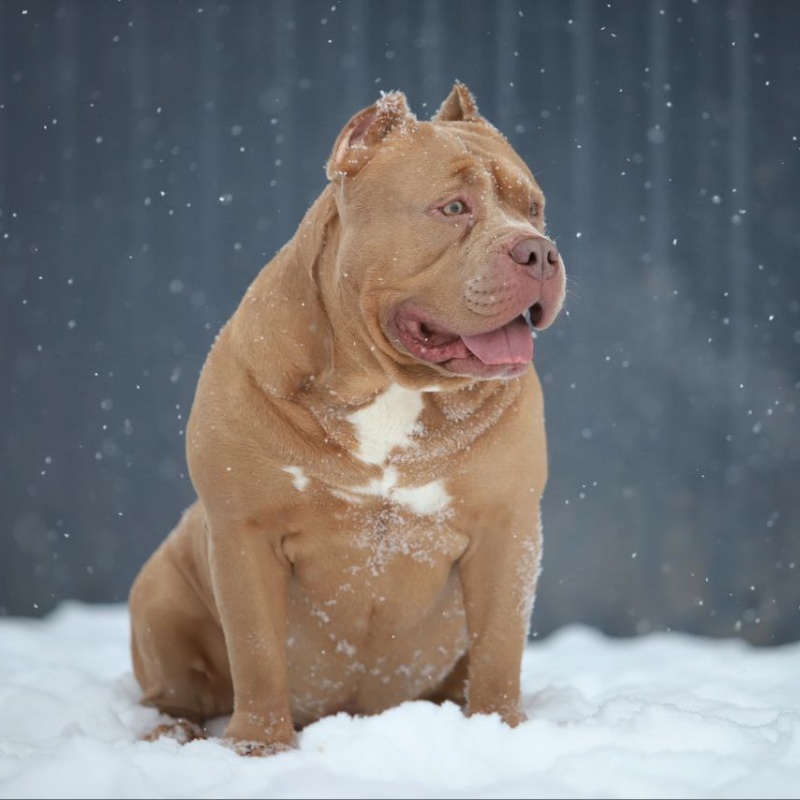 Предварительное бронирование