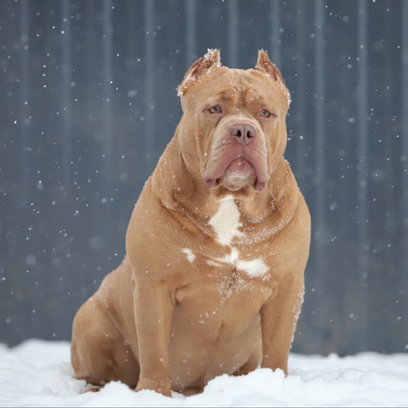 Предварительное бронирование