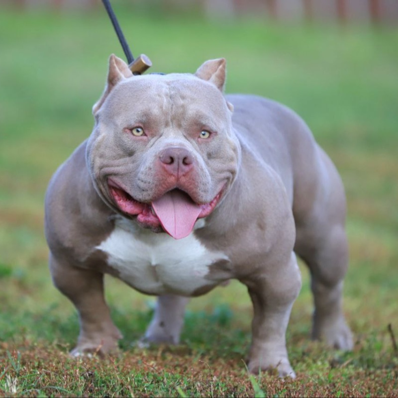 Предварительное бронирование