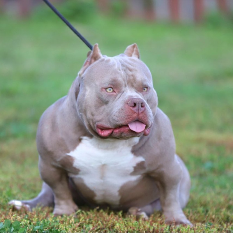 Предварительное бронирование