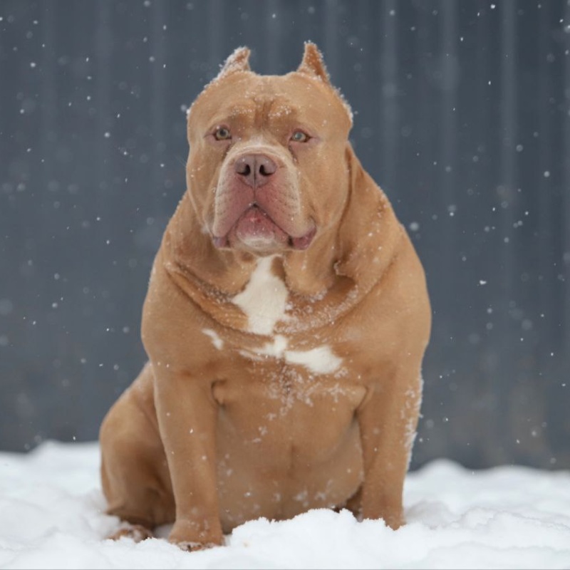 Предварительное бронирование