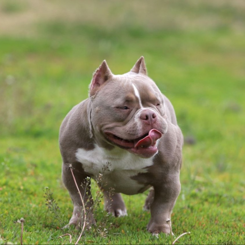 Предварительное бронирование