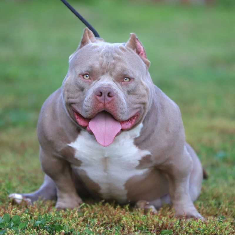 Предварительное бронирование