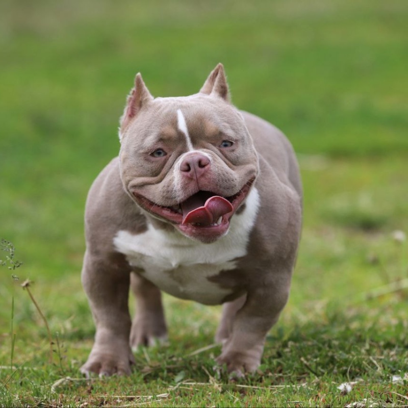 Предварительное бронирование