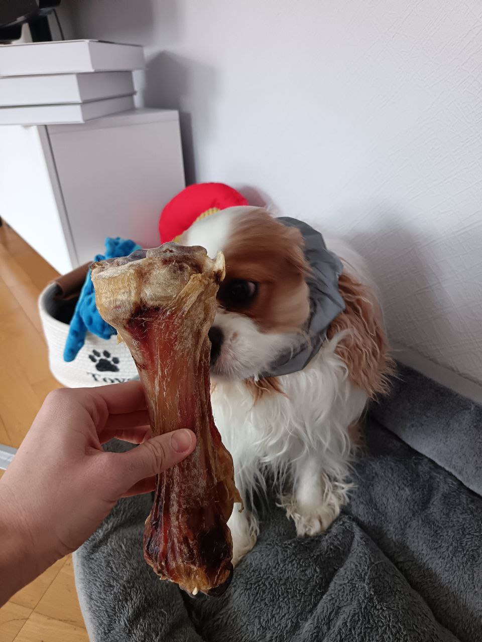 Отзыв клиента